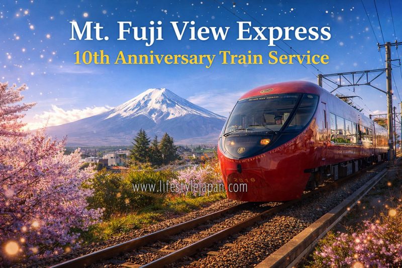 Mount Fuji View Express Train Service