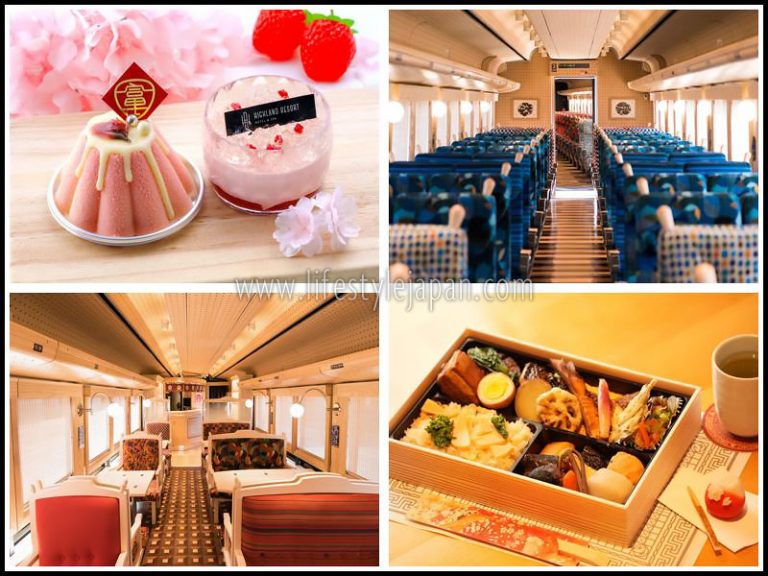 Mount Fuji View Express 10th Anniversary Train Service - Lifestyle Japan
