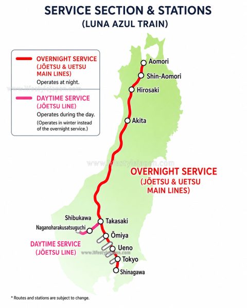 Luna Azul Train Stations Information